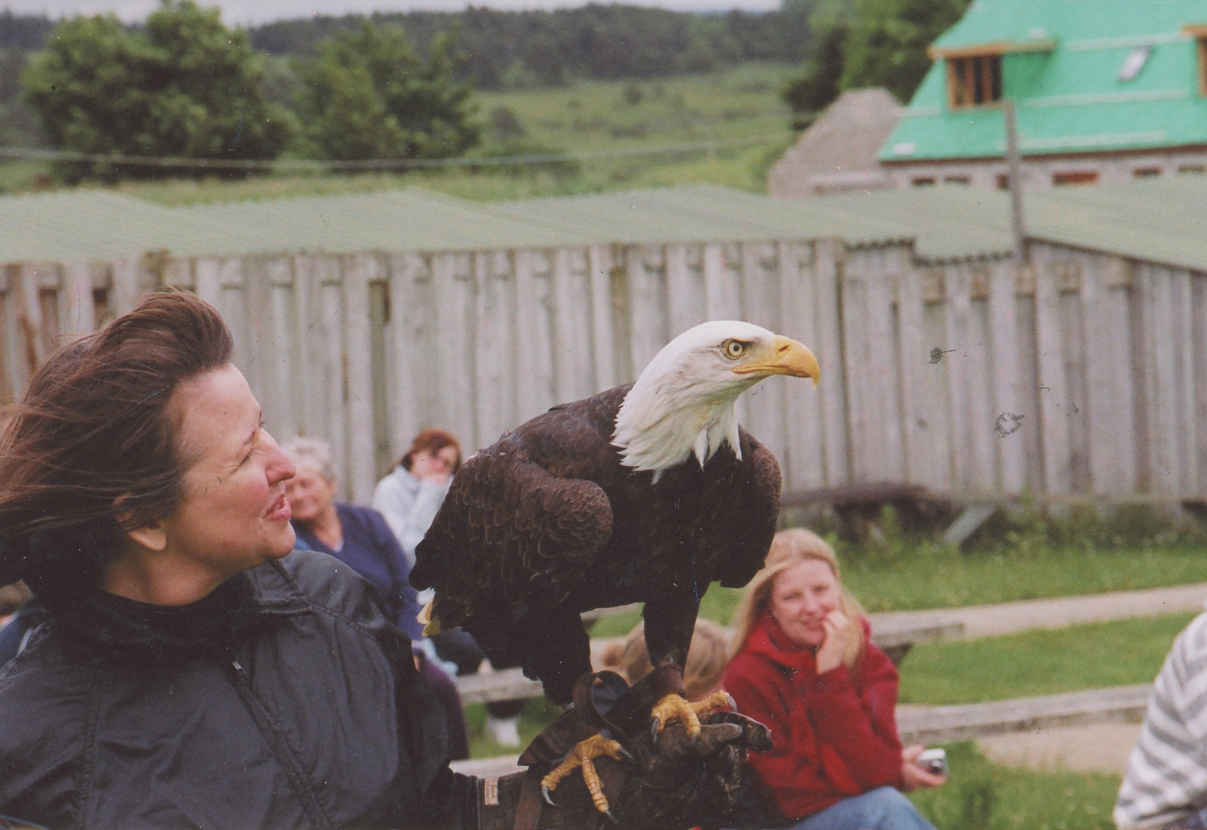 Ann James Massey at the North East Falconry Centre near Aberdeen in 2007