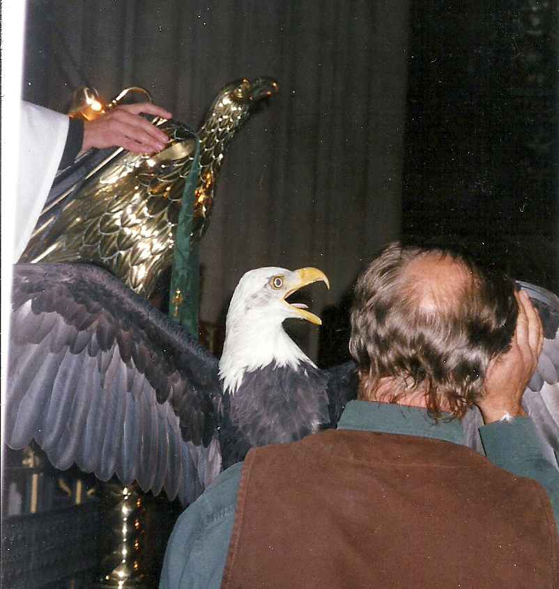 Live bald eagle at an American Cathedral Blessing
Photo © Harriet Rivière