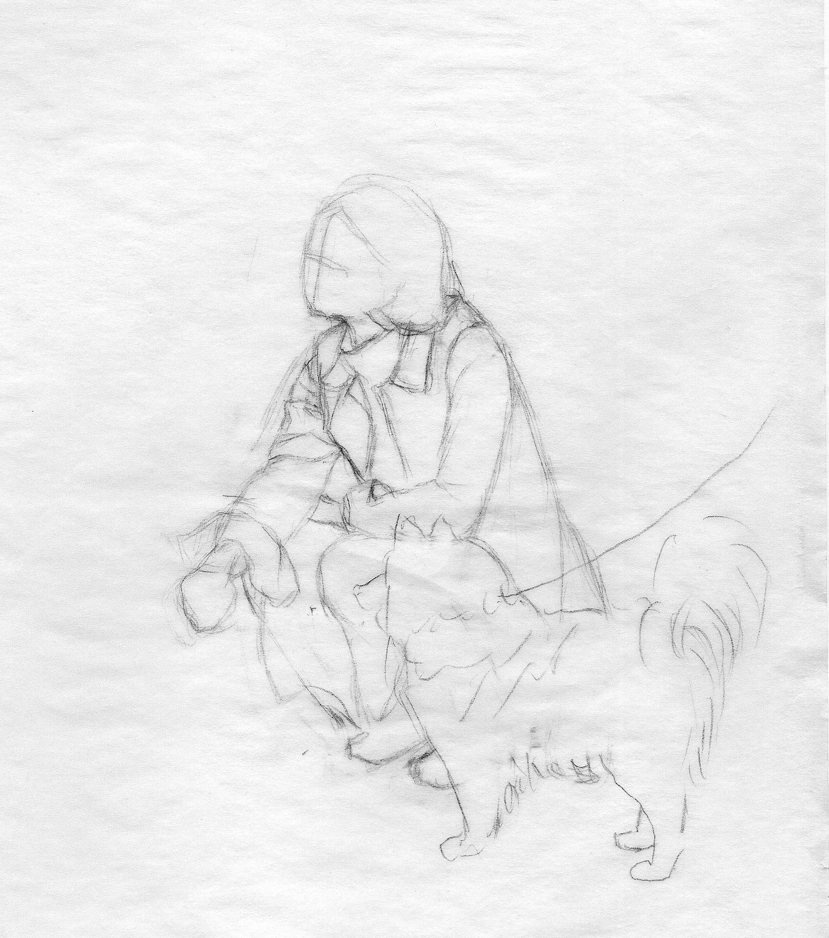 Sketch for Celine & Sheltie 
©2009 Ann James Massey 