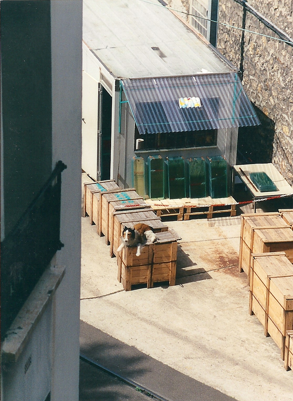     Crates still need to be guarded in August. 
Photo ©2003  Ann James Massey