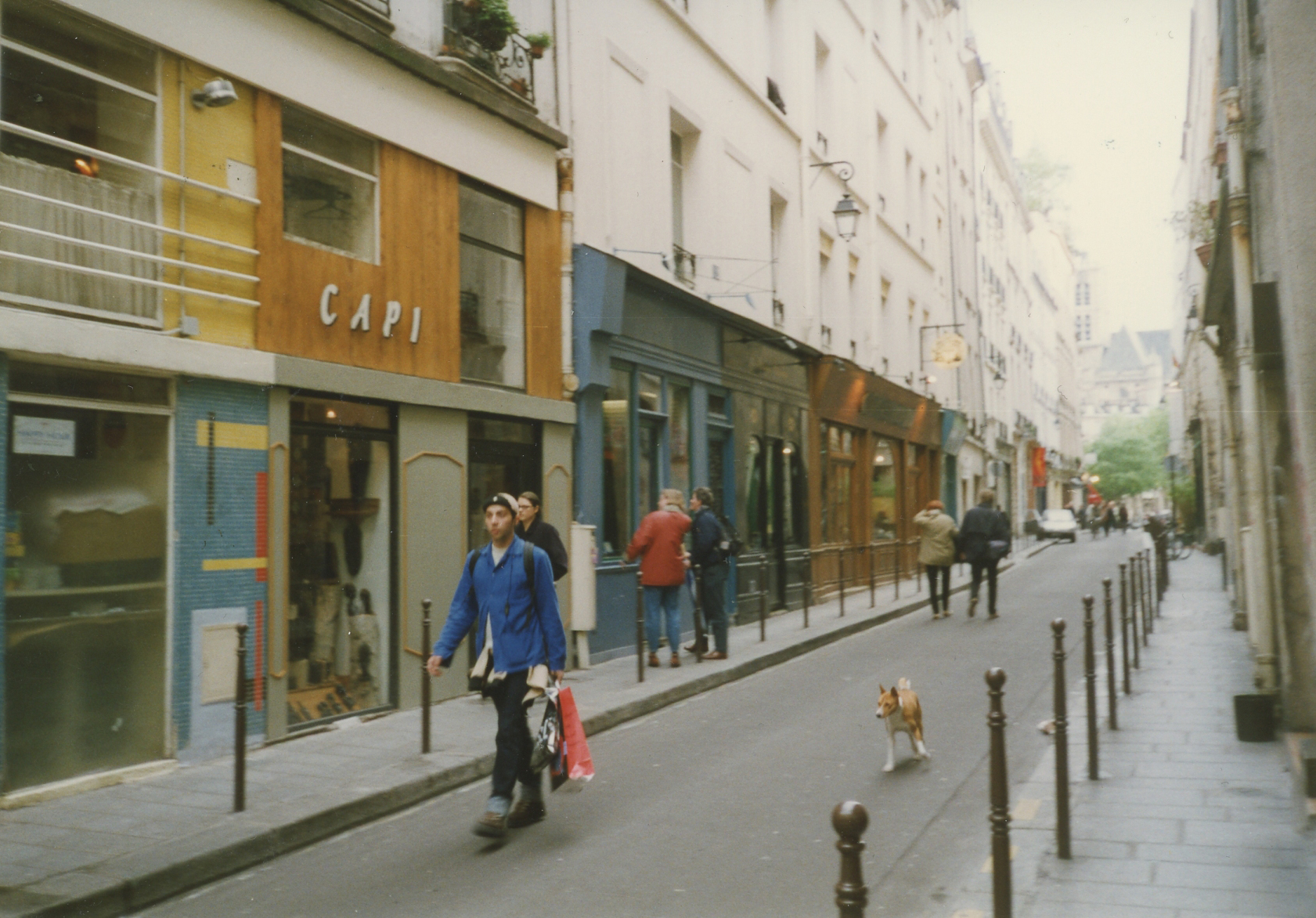 Notice further down the Parisian street on the left where there are no bollards.  Naturally there is a car parked on the sidewalk.  Photo © Ann James Massey